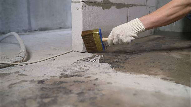 24/7 Emergency Crawl Space Encapsulation experts in Radiant, VA
